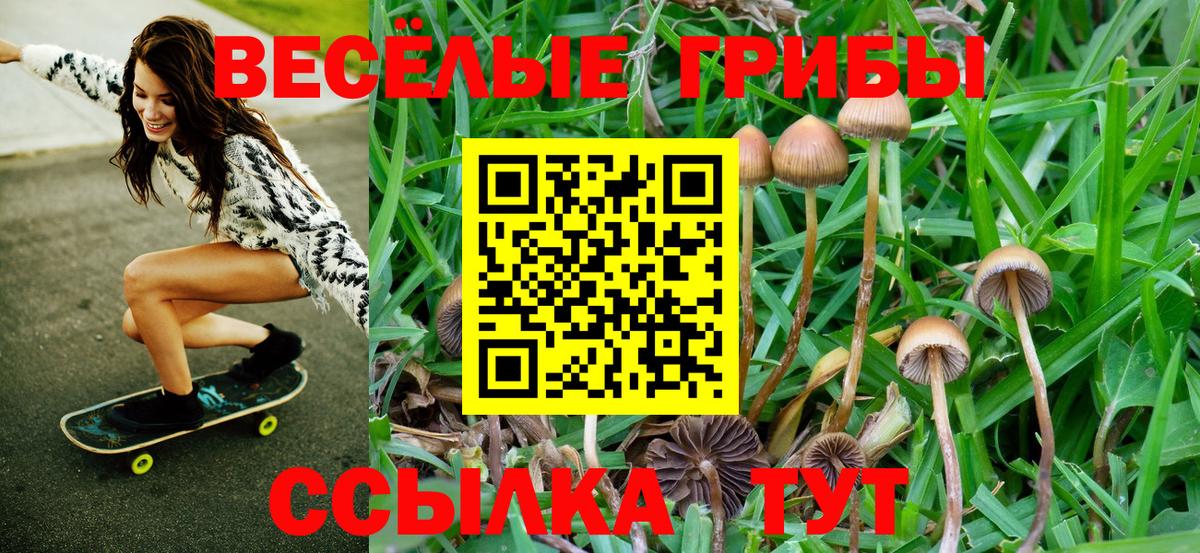 Галлюциногенные грибы ЛСД  Галлюциногенные грибы MAGIC MUSHROOMS  даркнет сайт  Вход с VPN  Северобайкальск 